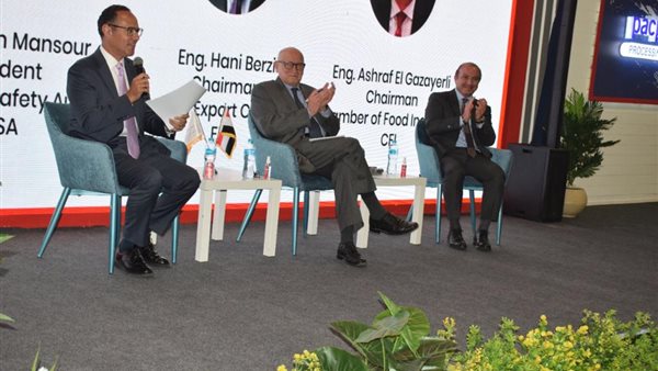 المهندس أشرف الجزايرلي