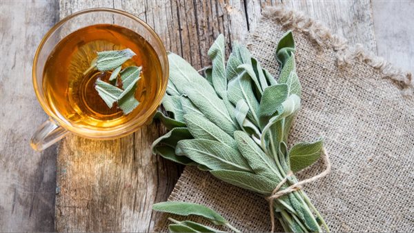 الميرمية لعلاج بطانة