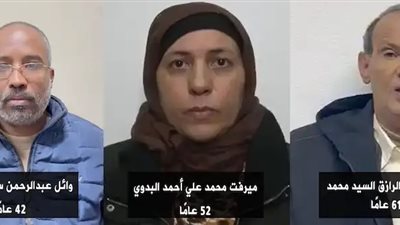 وكيل لجنة الدفاع بالبرلمان عن التسريبات المفبركة: نراهن على وعي المصريين