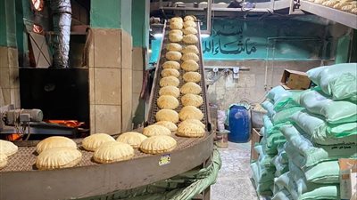 ضبط مخابز تصرفت في 120 شيكارة دقيق مدعم بالدقهلية