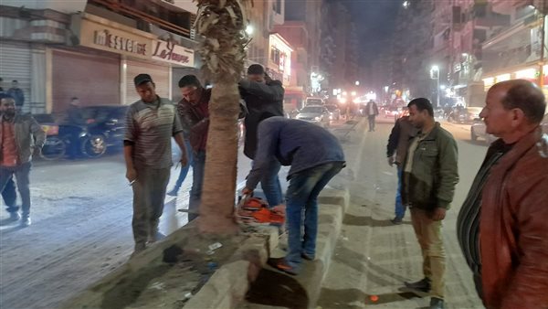 إزالة الأشجار والنخيل