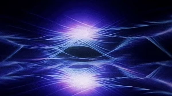 المادة الجديدة 