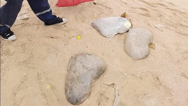 التخلص من اللحوم