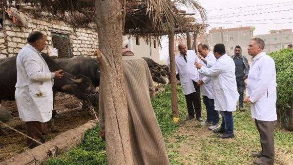 تحصين المواشي بالشرقية