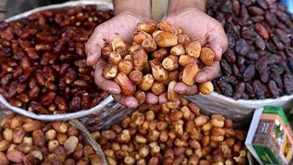 حكم بيع المحصول قبل