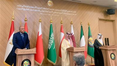 دول الخليج تؤكد دعمها لاستقرار مصر وتثمن دورها في تعزيز الأمن العربي