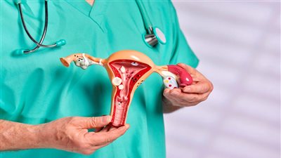 خبراء: النساء المتحولات ستتمكن من زرع رحم في المستقبل القريب