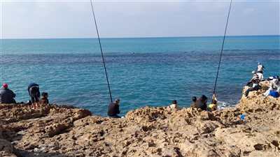 سطوع الشمس وانحسار فرص سقوط الأمطار.. طقس الإسكندرية اليوم