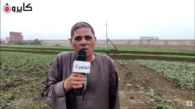 عمدة أبو سنيطة بالمنوفية يستغيث من سقوط أعمدة الضغط العالي: موتت 3 مواطنين | فيديو