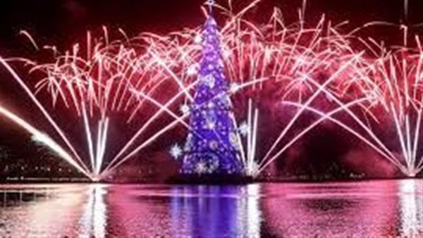 أكبر شجرة عيد الميلاد