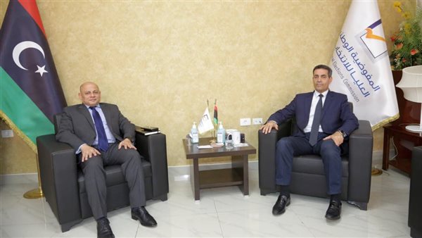 السفير المصري في