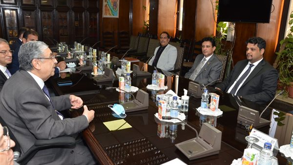 وزير الكهرباء 