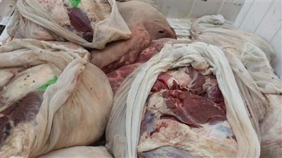 تموين الفيوم يُحرر محضرًا ضد صاحب محل لاكتشاف لحوم غير صالحة للاستهلاك الآدمي