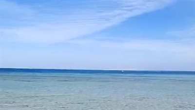 بث مباشر| استقرار حالة الطقس بالغردقة وسقوط أمطار متوسطة على بعض المناطق بالبحر الأحمر