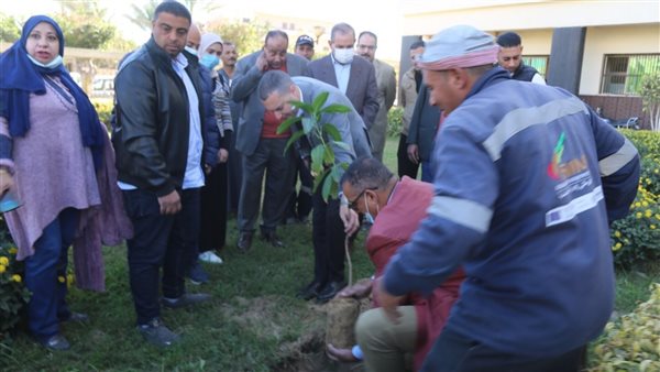 زراعة الأشجار المثمرة 
