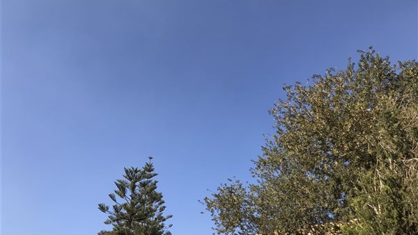 طقس الدقهلية- ارشيفية