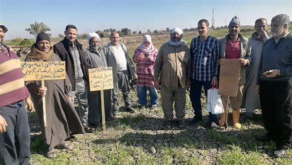 زراعة بورسعيد 