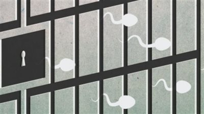 إذا الشعب يومًا أراد الحياة | كواليس رحلة تهريب النطف من خلف أسوار الاحتلال إلى أرحام زوجات الأسرى