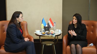 التعاون الدولي: الربط الكهربائي والتجارة أبرز مشروعات مصر في إفريقيا