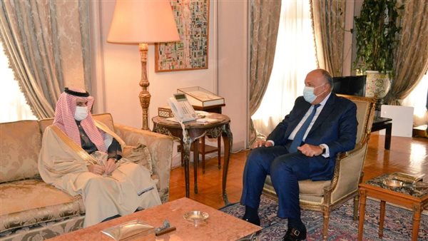 شكري يستقبل نظيره