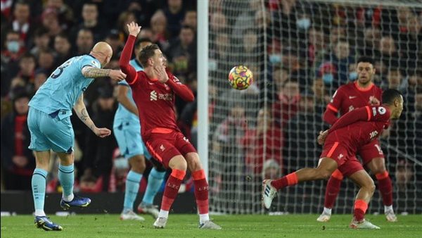 جونجو شيلفي