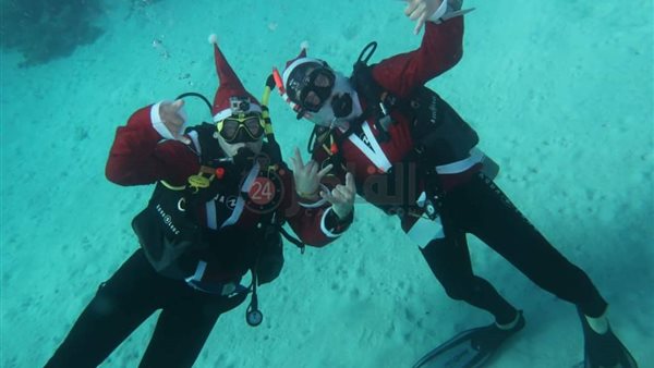 السباحة في الغردقة