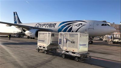 المجر تُهدي مصر 200 ألف جرعة من لقاحات كورونا | صور