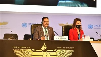 نص كلمة رئيس هيئة الرقابة الإدارية بالجلسة الختامية لمؤتمر الأمم المتحدة لمكافحة الفساد بشرم الشيخ