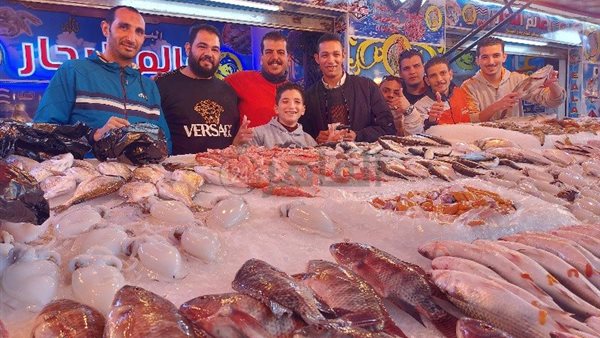 الأسماك اليوم