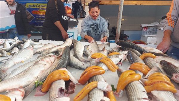 الطفل جراح الأسماك