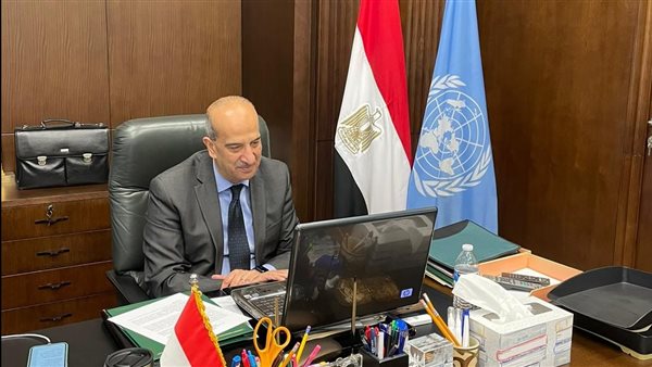 مندوب مصر الدائم