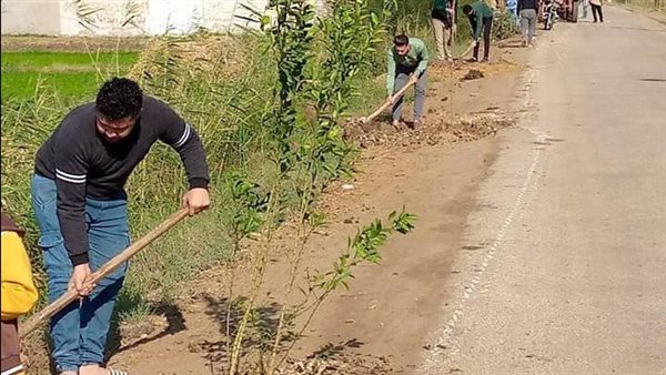 زراعة الأشجار المثمرة 