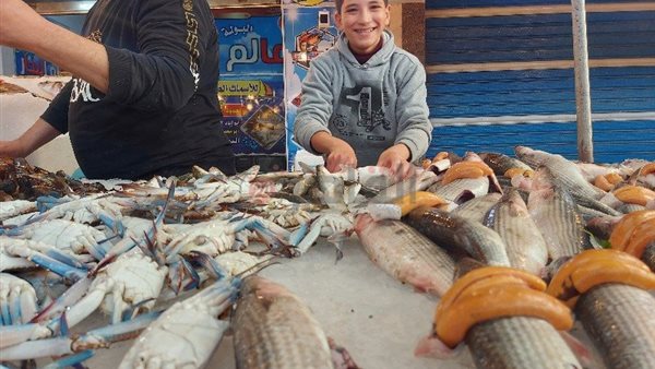 بيع الاسماك