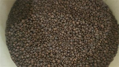 ضبط 35 طن بن مُصَنَّع من خامات مجهولة المصدر في طنطا 