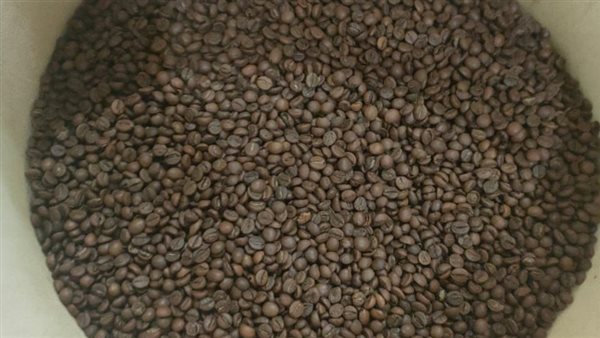 ضبط 35 طن بن مغشوشة