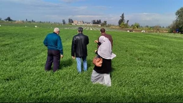 ندوات إرشادية للمحاصيل