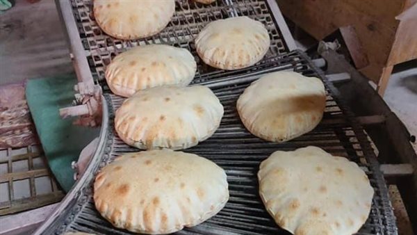 جانب من الحملة 