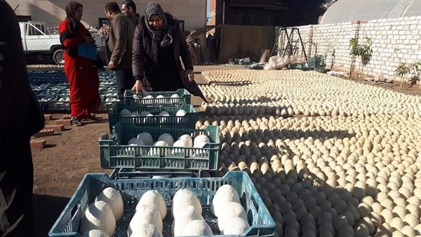 ضبط مصنع جبن بالمنوفية