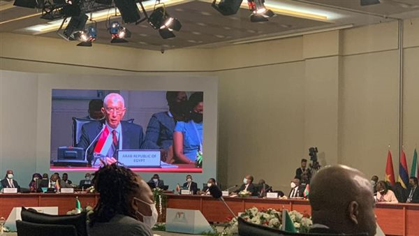 مصر تشارك في اجتماعات