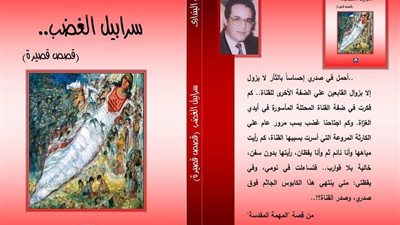 صدور سرابيل الغضب للدكتور حسن البنداري عن الأنجلو المصرية