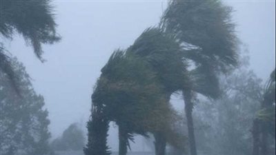 10 زراعات تتأثر بتغير المناخ والصقيع.. تعرف عليها 