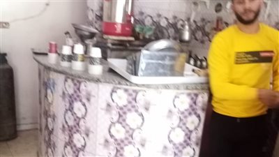 تحرير 15 محضرا وتطهير 37 منشأة في حملة تفتيشية بالمحلة الكبرى