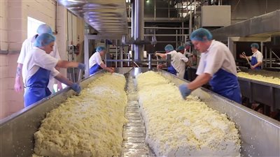 الصناعات الغذائية: رقابة دورية على مصانع الأجبان للتأكد من الالتزام بالاشتراطات الصحية