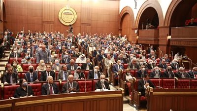 زراعة الشيوخ: اسقاط مديونيات المزارعين المتعثرين يساهم في دعم القطاع الزراعي