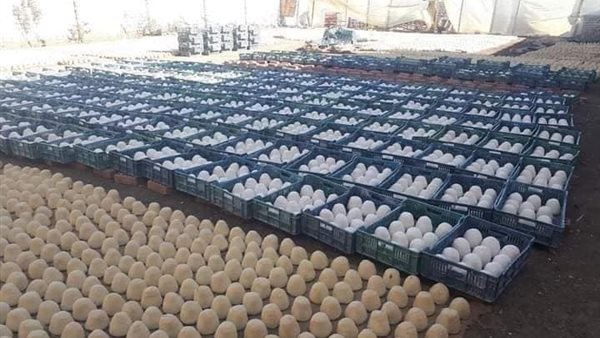 مصنع الجبن الذي تم