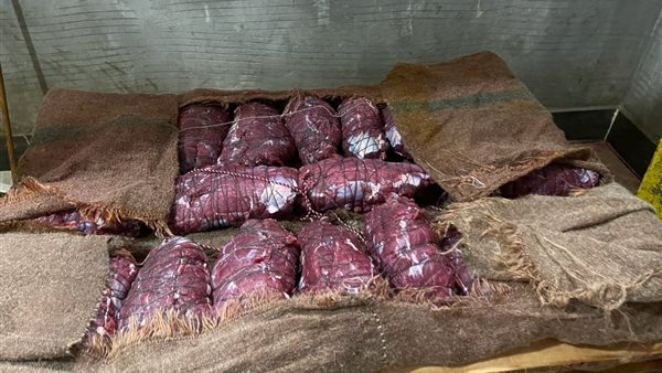 جانب من المضبوطات