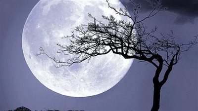 لايف | بدء ظهور القمر البارد في سماء الغربية.. والبحوث الفلكية: ظاهرة فريدة من نوعها