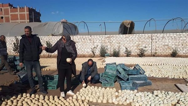 المصنع المضبوط 