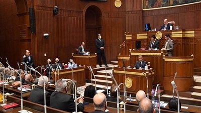 لايف | رعاية صحية ونفسية وتوفير رفيق.. الشيوخ يوافق على قانون حقوق المسنين الجديد