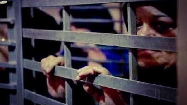 مرصد الأزهر